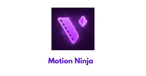 motion ninja