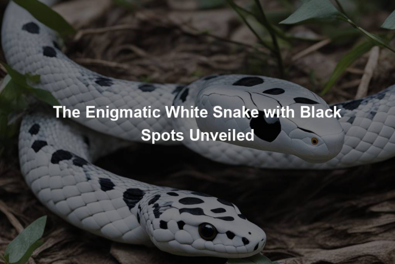 The Enigmatic White Snake with Black Spots Unveiled