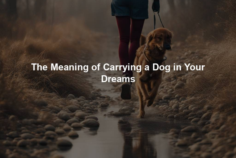 The Meaning of Carrying a Dog in Your Dreams