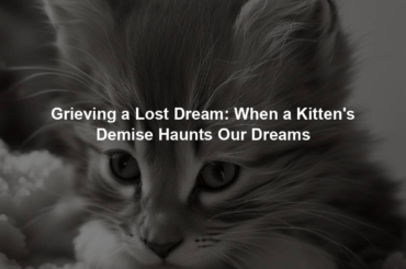 Grieving a Lost Dream: When a Kitten's Demise Haunts Our Dreams