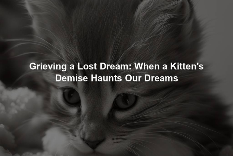 Grieving a Lost Dream: When a Kitten's Demise Haunts Our Dreams