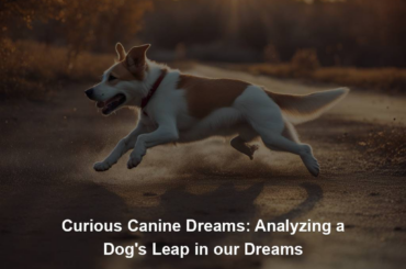 Curious Canine Dreams: Analyzing a Dog's Leap in our Dreams