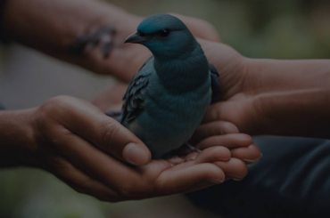 The Power of Connection: Holding a Bird in Your Hand