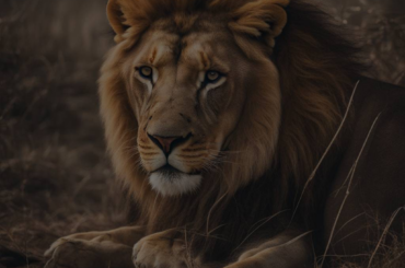 Surviving the Unpredictable: Escaping a Lion in Your Dream