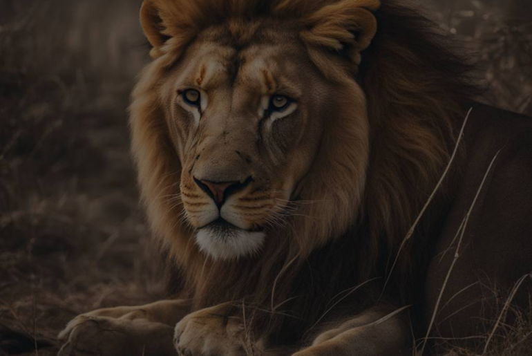 Surviving the Unpredictable: Escaping a Lion in Your Dream