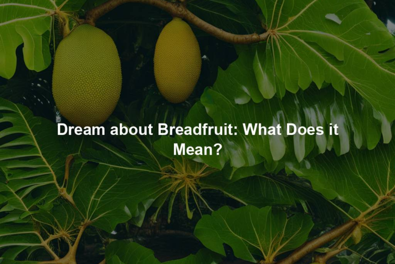 Dream about Breadfruit: What Does it Mean?