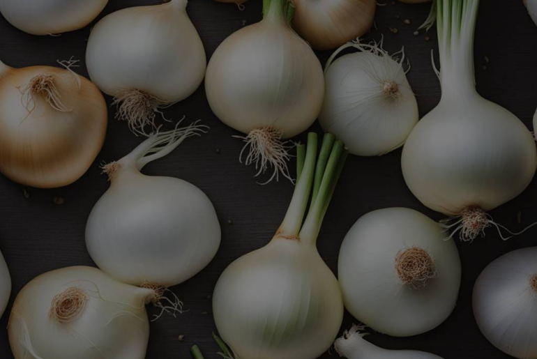 The Symbolic Meaning of White Onion Dreams