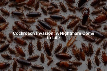 Cockroach Invasion: A Nightmare Come to Life