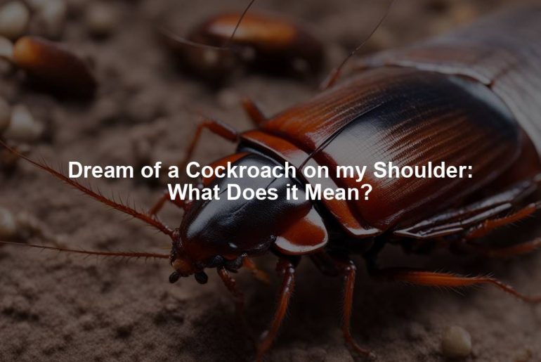 Dream of a Cockroach on my Shoulder: What Does it Mean?