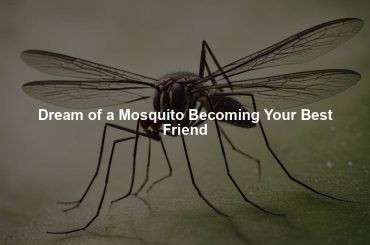 Dream of a Mosquito Becoming Your Best Friend