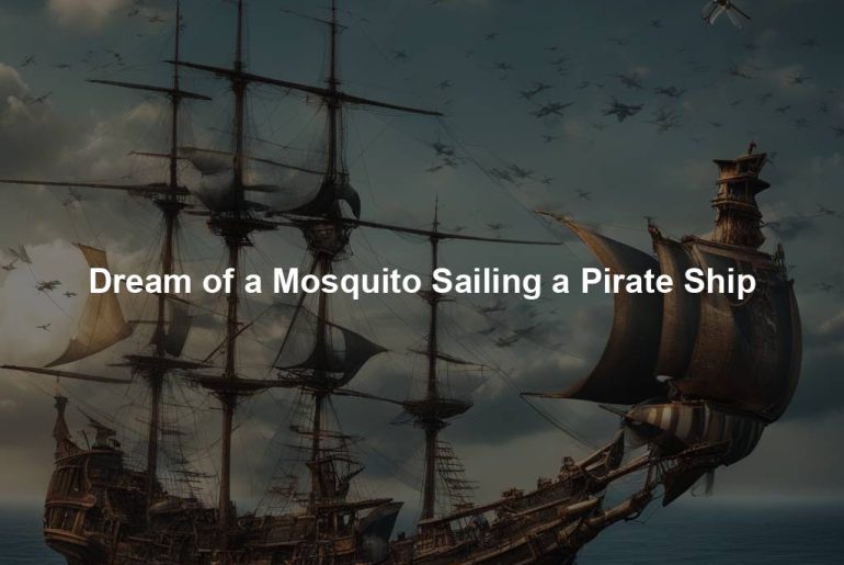 Dream of a Mosquito Sailing a Pirate Ship