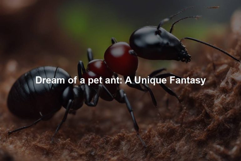 Dream of a pet ant: A Unique Fantasy