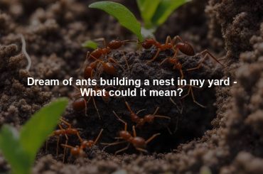 Dream of ants building a nest in my yard - What could it mean?