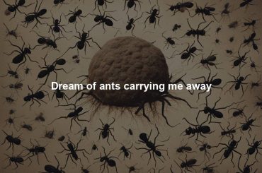 Dream of ants carrying me away