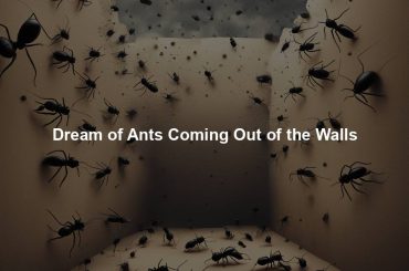 Dream of Ants Coming Out of the Walls