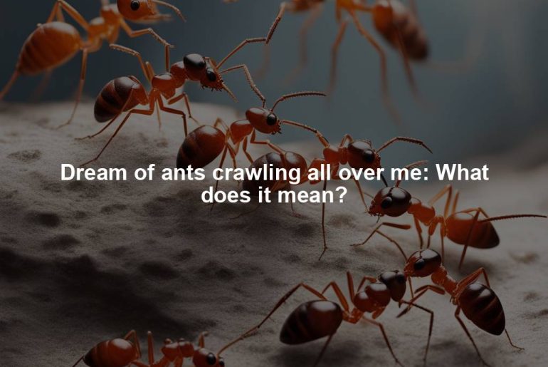 Dream of ants crawling all over me: What does it mean?