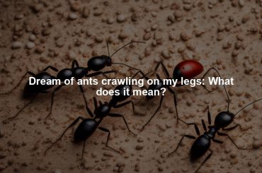 Dream of ants crawling on my legs: What does it mean?