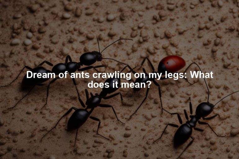 Dream of ants crawling on my legs: What does it mean?