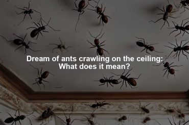 Dream of ants crawling on the ceiling: What does it mean?