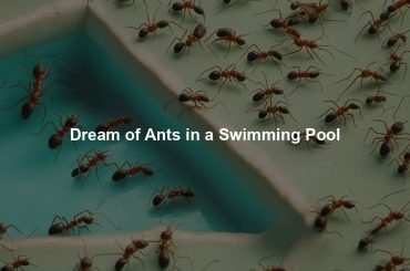 Dream of Ants in a Swimming Pool