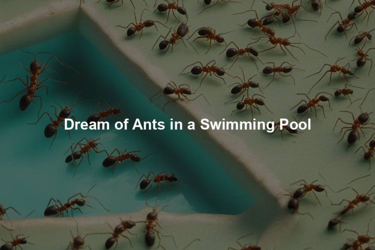 Dream of Ants in a Swimming Pool