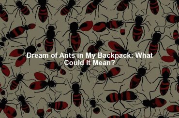 Dream of Ants in My Backpack: What Could It Mean?