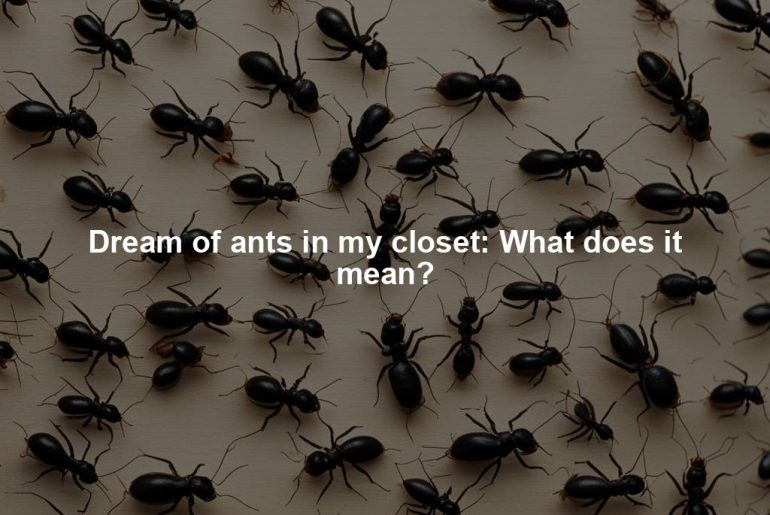 Dream of ants in my closet: What does it mean?