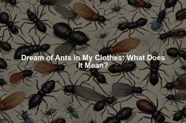 Dream of Ants in My Clothes: What Does It Mean?