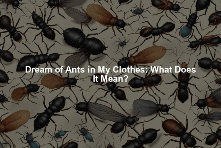 Dream of Ants in My Clothes: What Does It Mean?