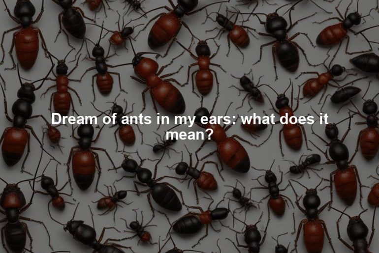 Dream of ants in my ears: what does it mean?