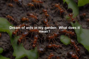 Dream of ants in my garden: What does it mean?