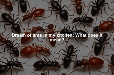 Dream of ants in my kitchen: What does it mean?