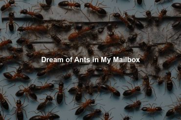 Dream of Ants in My Mailbox