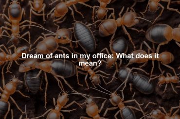 Dream of ants in my office: What does it mean?