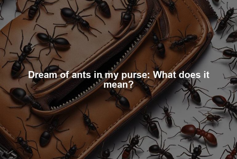 Dream of ants in my purse: What does it mean?