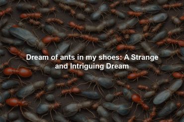 Dream of ants in my shoes: A Strange and Intriguing Dream