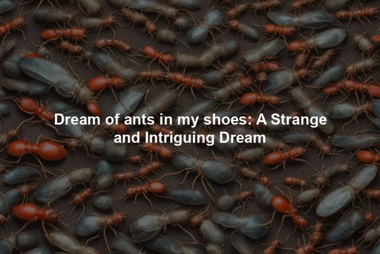 Dream of ants in my shoes: A Strange and Intriguing Dream