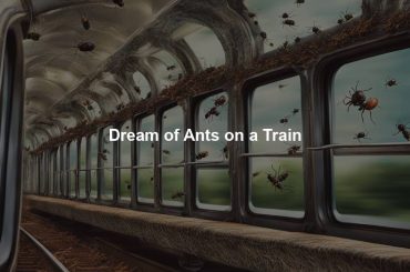 Dream of Ants on a Train