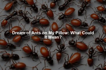 Dream of Ants on My Pillow: What Could It Mean?