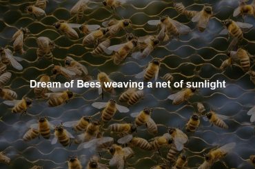 Dream of Bees weaving a net of sunlight