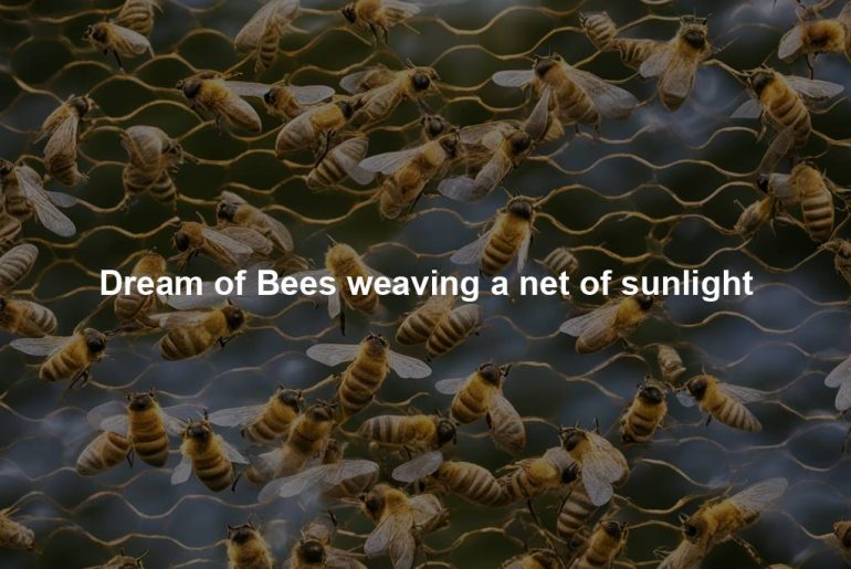 Dream of Bees weaving a net of sunlight