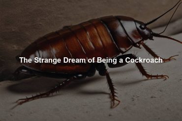 The Strange Dream of Being a Cockroach