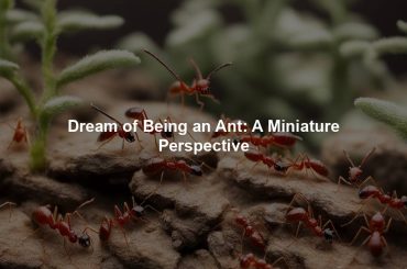 Dream of Being an Ant: A Miniature Perspective