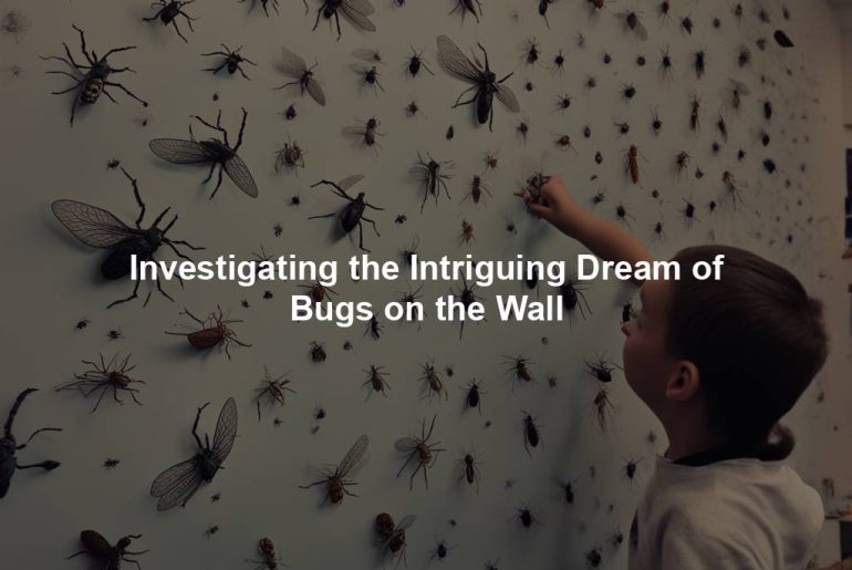 Investigating the Intriguing Dream of Bugs on the Wall