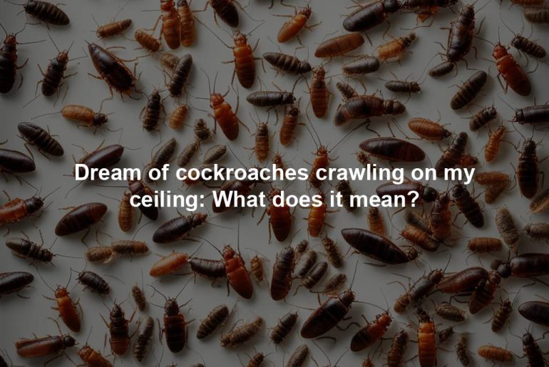 Dream of cockroaches crawling on my ceiling: What does it mean?