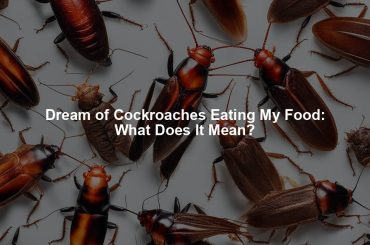 Dream of Cockroaches Eating My Food: What Does It Mean?