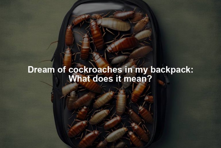 Dream of cockroaches in my backpack: What does it mean?