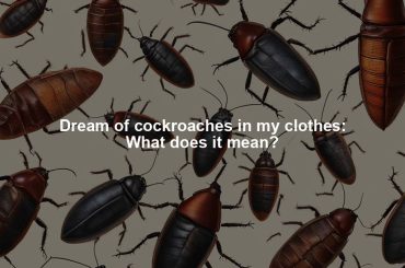 Dream of cockroaches in my clothes: What does it mean?