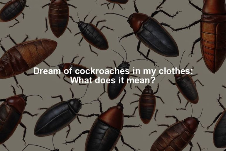 Dream of cockroaches in my clothes: What does it mean?