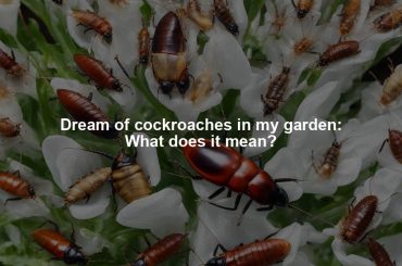 Dream of cockroaches in my garden: What does it mean?